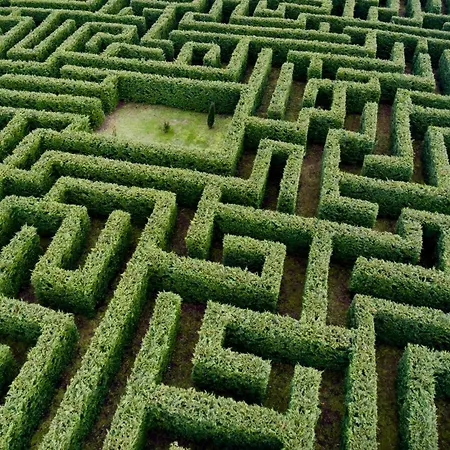 Camino Del Soplao -zona Santillana Del Mar- Apartmán Reocín