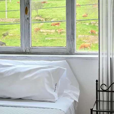 Camino Del Soplao -zona Santillana Del Mar- Apartmán *