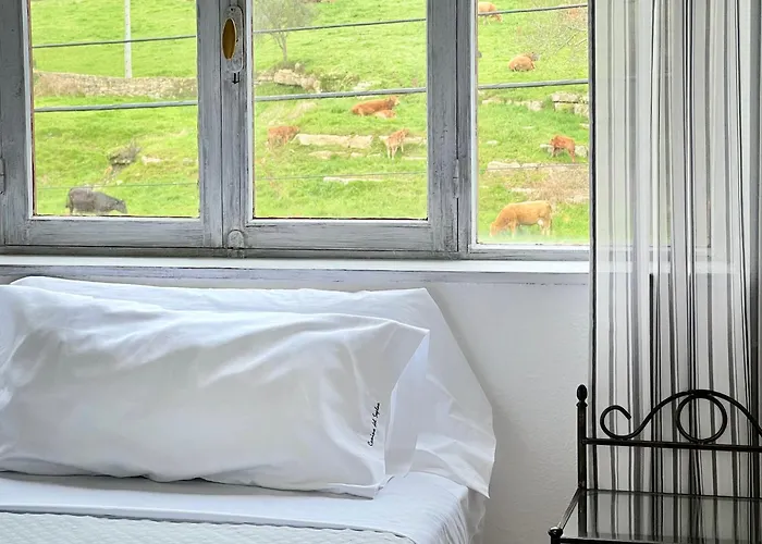 Camino Del Soplao -zona Santillana Del Mar- Apartmán *